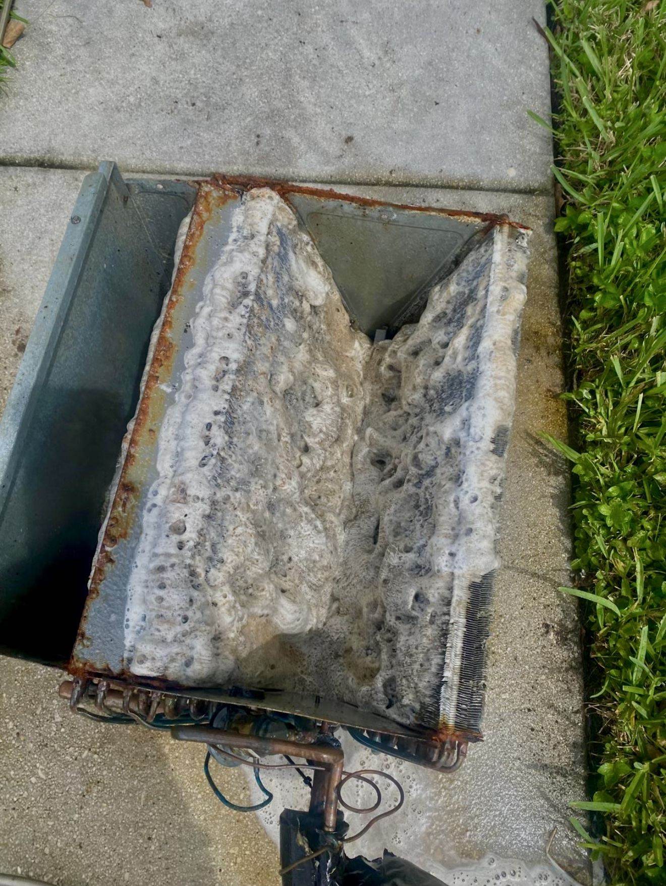 Dirty AC coil during Fair Air Solutions deep cleaning