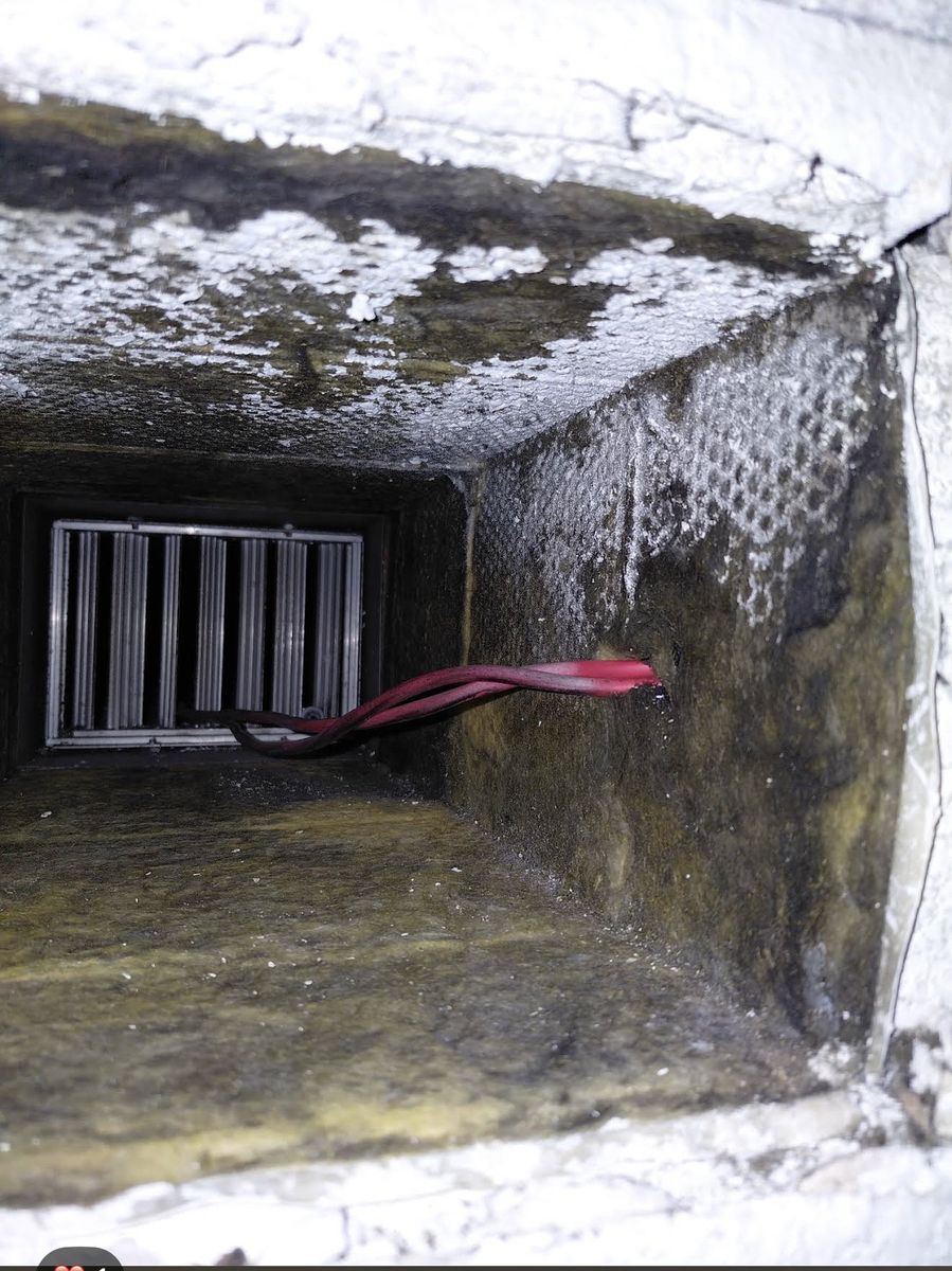 David's dirty moldy duct before Fair Air Solutions service