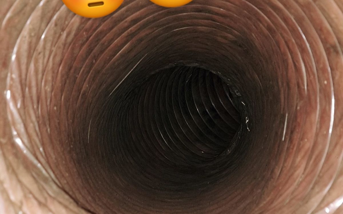 Air duct interior after professional cleaning